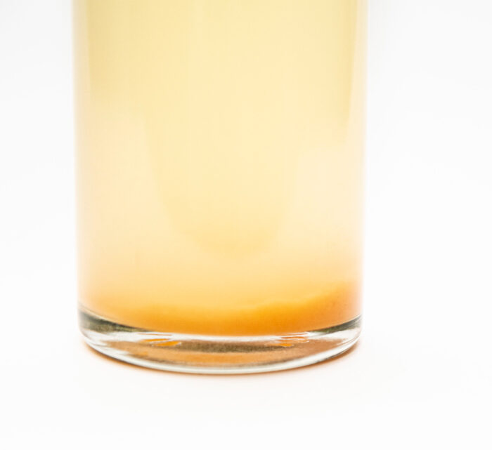 露珠 ROJU プレミアム ビネガー「野生柿酢」190ml｜無添加・自然発酵